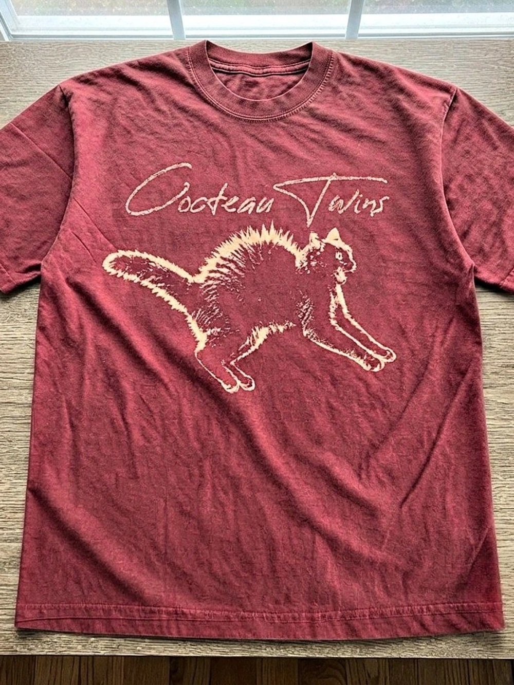 Cocteau Twins Graphic Short Sleeve Tee in Red